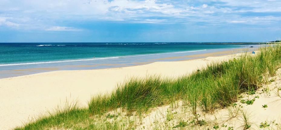 Camping Barataud Saint-Denis-d'Oleron Ngoại thất bức ảnh