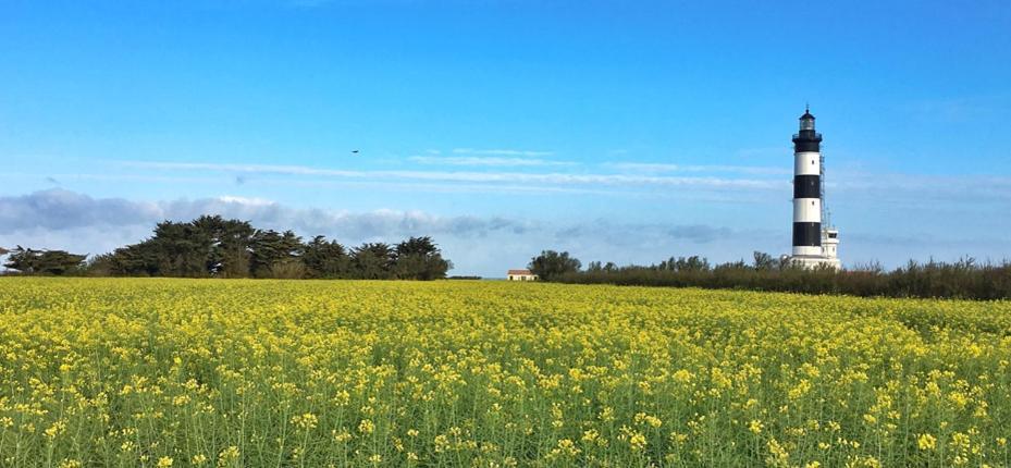 Camping Barataud Saint-Denis-d'Oleron Ngoại thất bức ảnh