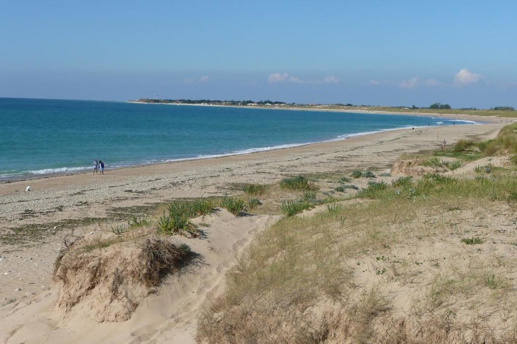 Camping Barataud Saint-Denis-d'Oleron Ngoại thất bức ảnh